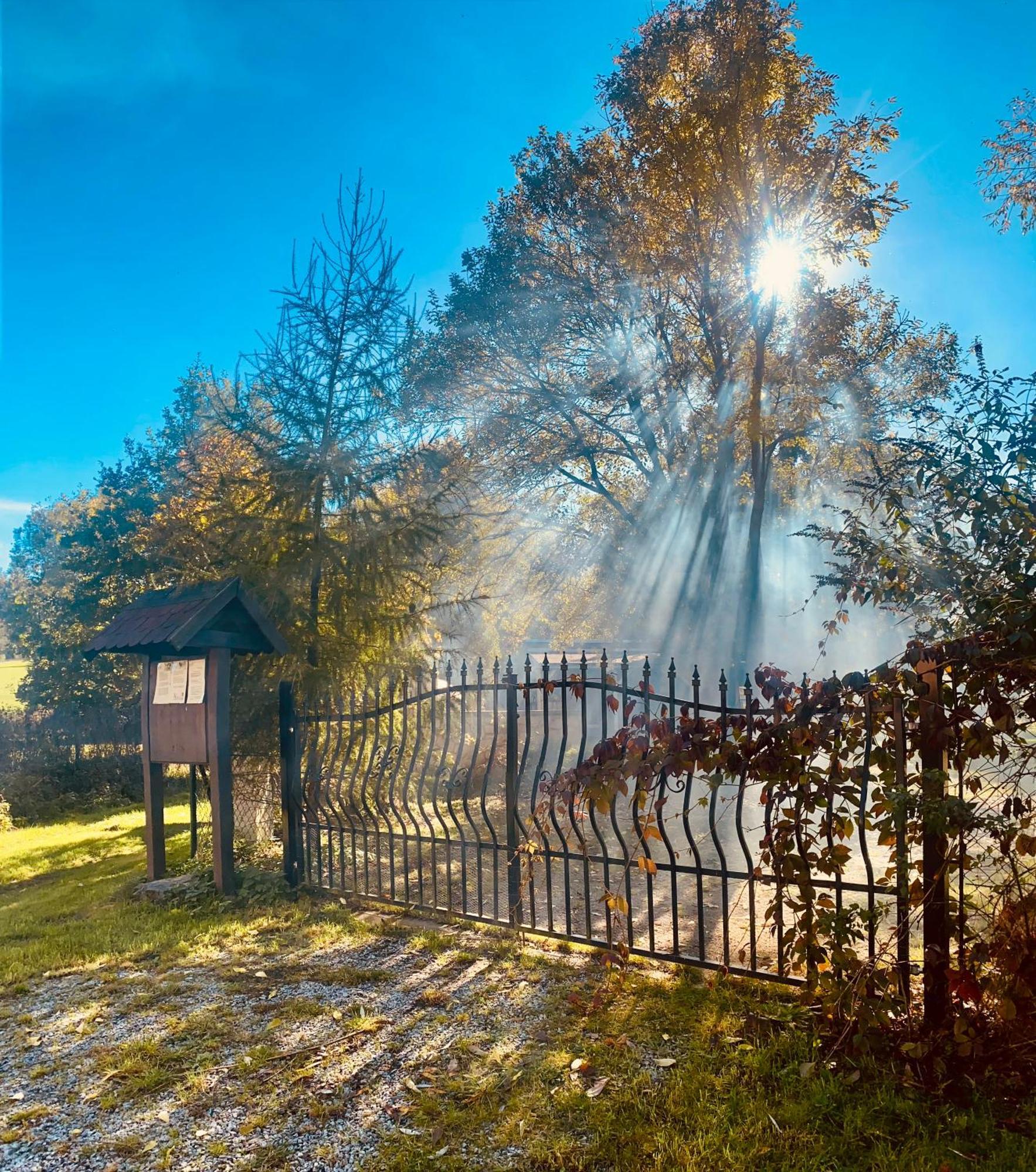 Biotop Kotlyk Campsite Netvorice